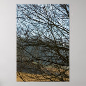 Poster Nature Abstraite (Devant)