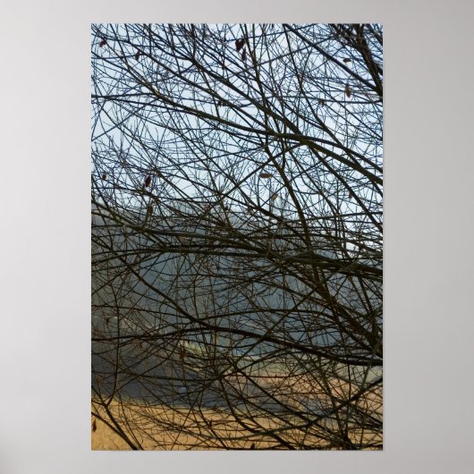 Poster Nature Abstraite (Devant)