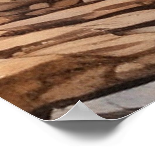 Poster *~* Nature AP49 MOOSE HERD Forest STREAM (Coin)