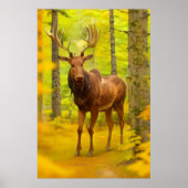Poster *~* Nature AP49 MOOSE Woods Forêt Chute Jaune (Devant)