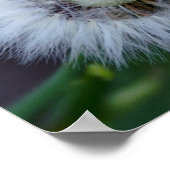 Poster Nature&apos ; soleil (Coin)