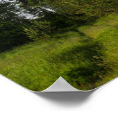 Poster Nature Arbres verts Forêt Paysage Biélorussie Post (Coin)