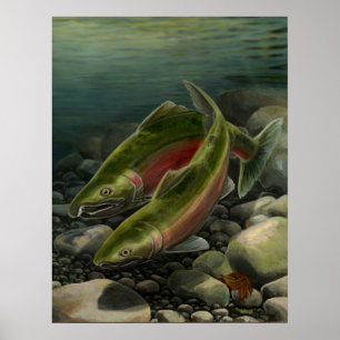 Poster Nature Art Prints Coho Salmon Fishing Art Print