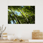 Poster Nature botanique bambou (Cuisine)