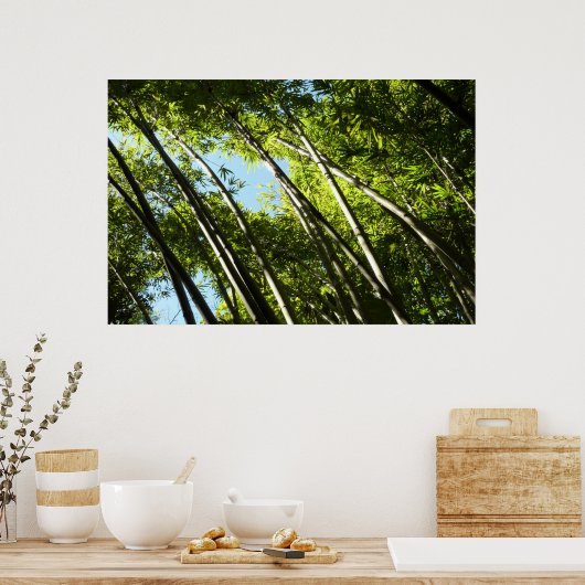 Poster Nature botanique bambou (Cuisine)