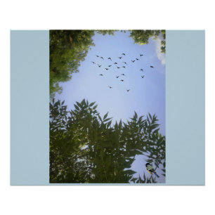 Poster Nature Ciel Bleu Avec Oiseaux & Arbre