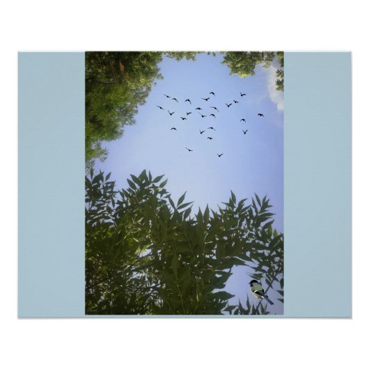 Poster Nature Ciel Bleu Avec Oiseaux & Arbre (Devant)