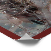 Poster Nature Collage Imprimer Northwoods Wisconsin Saiso (Coin)