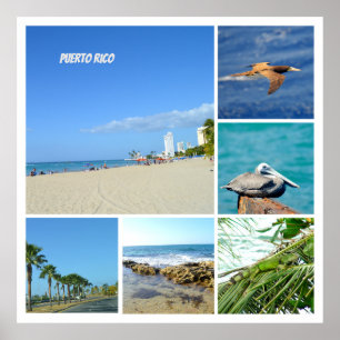 Poster Nature collage of San Juan, Porto Rico