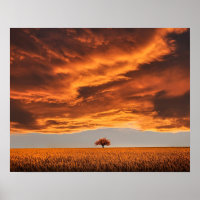 nature des arbres solitaires paysage abstrait