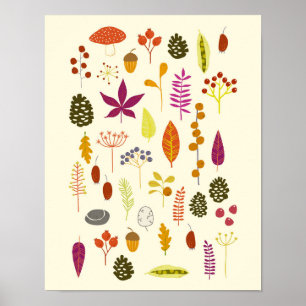 Poster Nature des bois