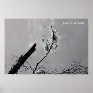Poster Nature en hiver