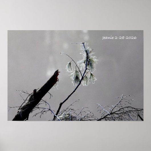 Poster Nature en hiver (Devant)