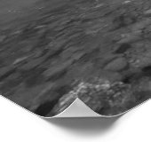 Poster Nature en noir et blanc (Coin)