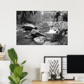 Poster Nature en noir et blanc (Bureau à domicile)