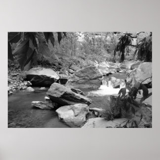 Poster Nature en noir et blanc