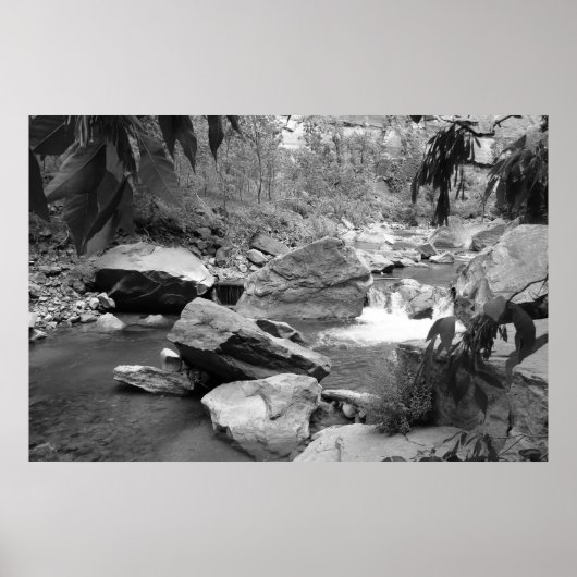 Poster Nature en noir et blanc (Devant)