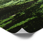 Poster Nature Faune Bengale Tigre Dans La Photographie De (Coin)