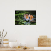 Poster Nature Faune Bengale Tigre Dans La Photographie De (Cuisine)
