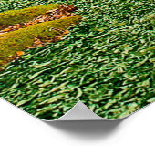 Poster Nature feuillage de feuillage (Coin)