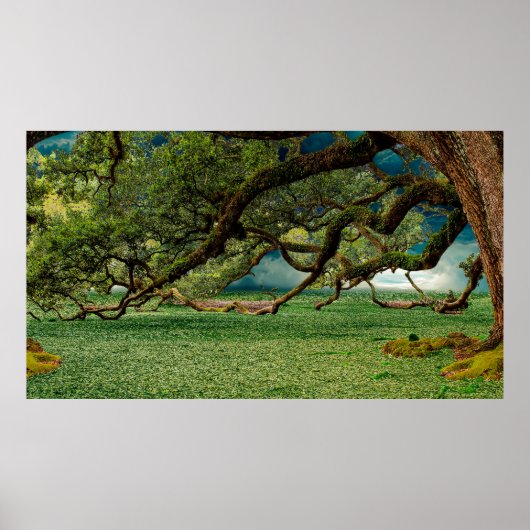 Poster Nature feuillage de feuillage (Devant)