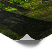 Poster Nature Forêt Biélorussie Paysage Biélorussie (Coin)