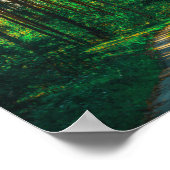 Poster Nature Forêt Birers Route du paysage (Coin)