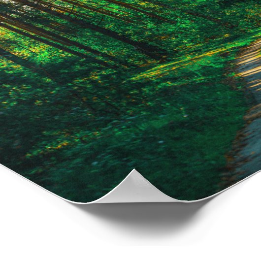 Poster Nature Forêt Birers Route du paysage (Coin)