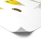 Poster Nature, imprimé botanique, art floral de Chamomile (Coin)