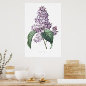 Poster Nature, imprimé botanique, art floral de Lilac (Cuisine)