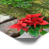 Poster Nature intérieure et extérieure en fleurs (Coin)