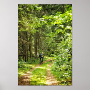 Poster Nature Landscape Scenery Forest Trees Belarus
