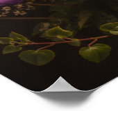 Poster Nature morte numéro 6 (Coin)