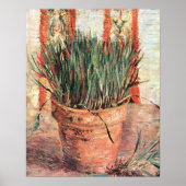 Poster Nature morte Pot de fleurs aux ciboulettes par Vin (Devant)