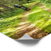 Poster Nature Paysage Paysage Forêt Arbres Biélorussie (Coin)