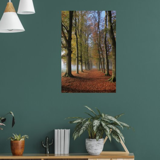 Poster Nature paysage photographie arbres d'automne (Salon 1)