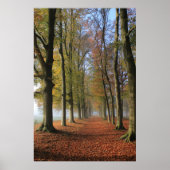 Poster Nature paysage photographie arbres d'automne (Devant)