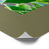 Poster Nature Photography Mockingbird Birder   (Coin)