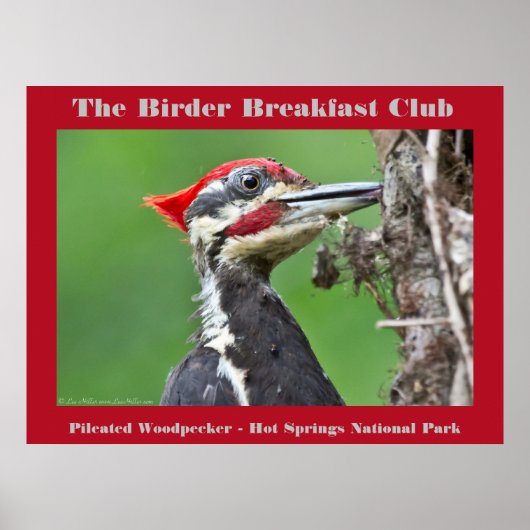 Poster Nature Photography Pileated Woodpecker Birder (Devant)
