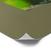 Poster Nature Photography Shy Blue Jay Birder (Coin)