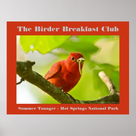 Poster Nature Photography Summer Tanager Birder (Devant)