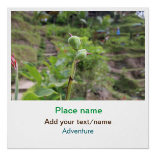 Poster Nature plante photographie plage eau nom de voyage