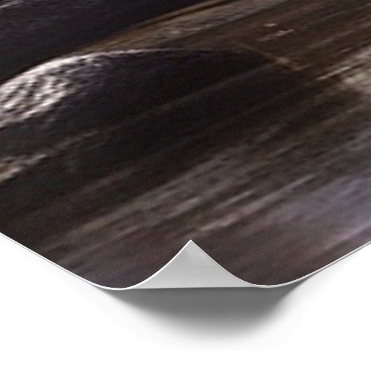 Poster *~* Nature STREAM AP49 MOOSE Forest (Coin)