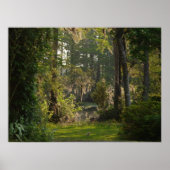 Poster Natures beauté (Devant)