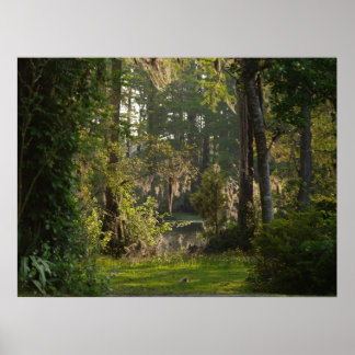 Poster Natures beauté