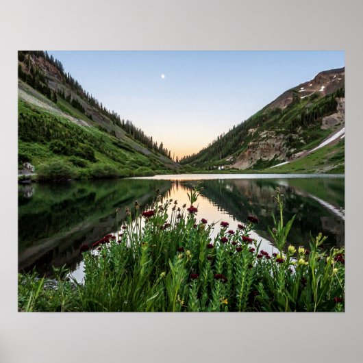 Poster Natures Bouquet // Avant-plan Floral (Devant)