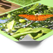 Poster Natures cycle de vie (Coin)