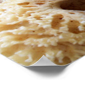 Poster Natuurlijke Sponges (Hoek)