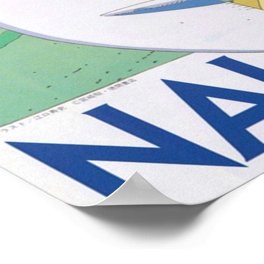 Poster Nausicaa Glider (Coin)