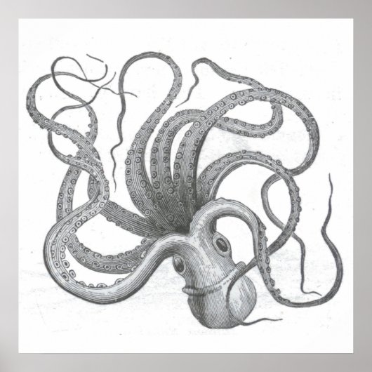 Poster Nautical steampunk octopus vintage kraken drawing (Devant)